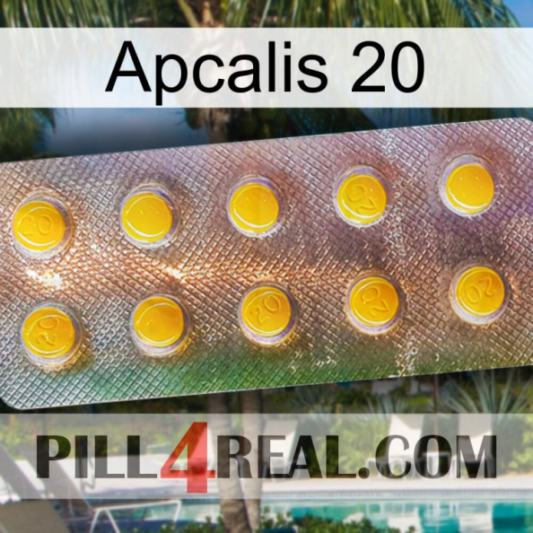 Apcalis 20 new11.jpg